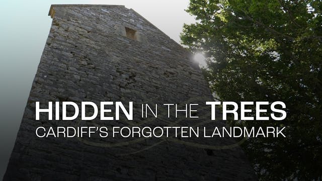 Hidden in the Trees: Cardiff's Forgot...